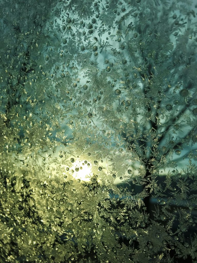 Imagine stepping out of a warm, aromatic sauna, your skin glistening from the heat, and plunging into icy cold water. The shock invigorates your senses, leaving you refreshed, energized, and ready to take on the day