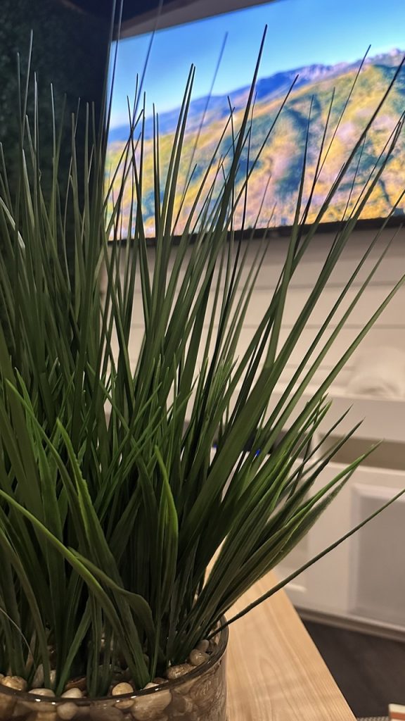 Expert sauna builder in Edmonton showcasing high-quality materials and finishes.